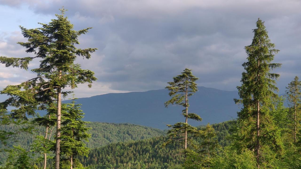 Zacisze Na Wzgorzu