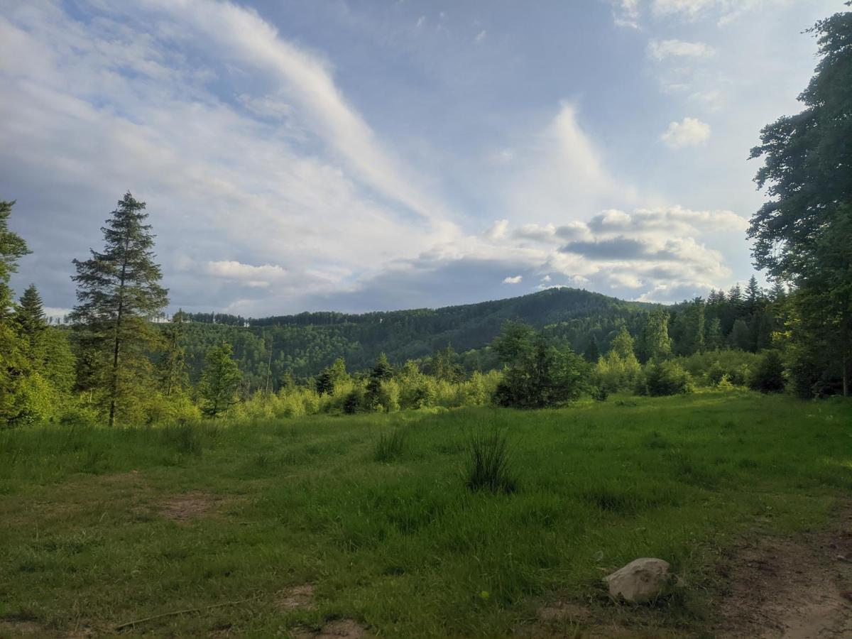 Dom wakacyjny Zacisze Na Wzgorzu