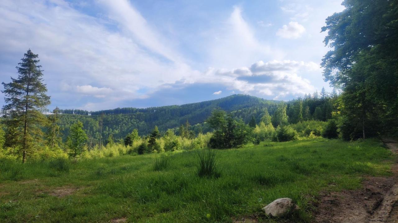 Zacisze Na Wzgorzu *
