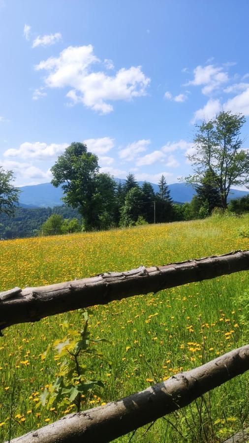 Zacisze Na Wzgorzu *