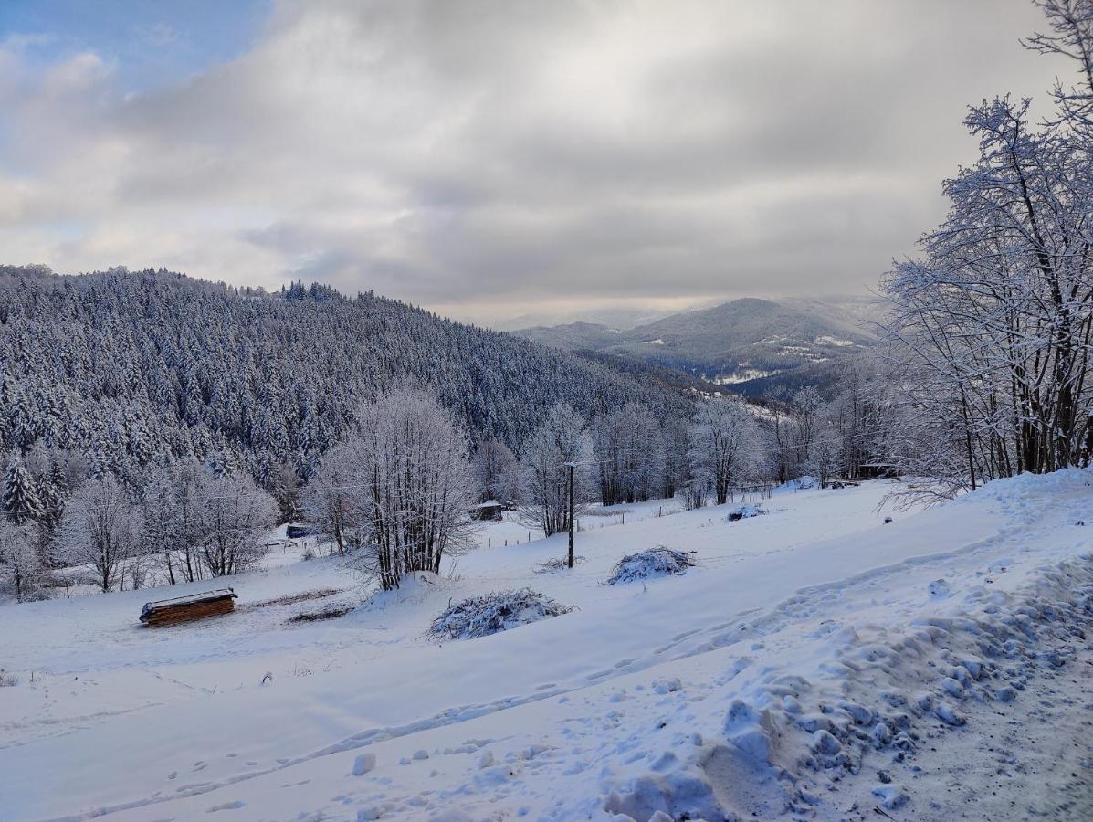Holiday home Zacisze Na Wzgorzu Zawoja